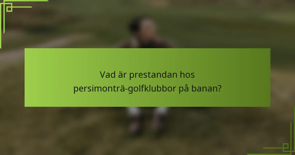 Vad är prestandan hos persimonträ-golfklubbor på banan?