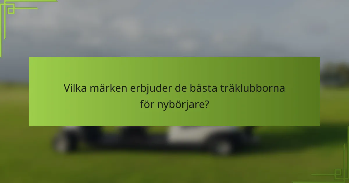 Vilka märken erbjuder de bästa träklubborna för nybörjare?
